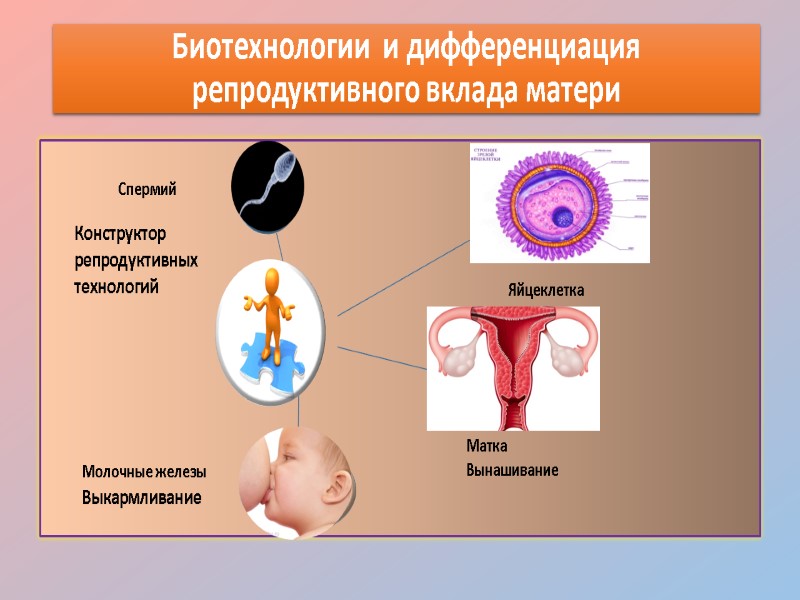 Биотехнологии  и дифференциация репродуктивного вклада матери Яйцеклетка Матка Вынашивание  Молочные железы Выкармливание